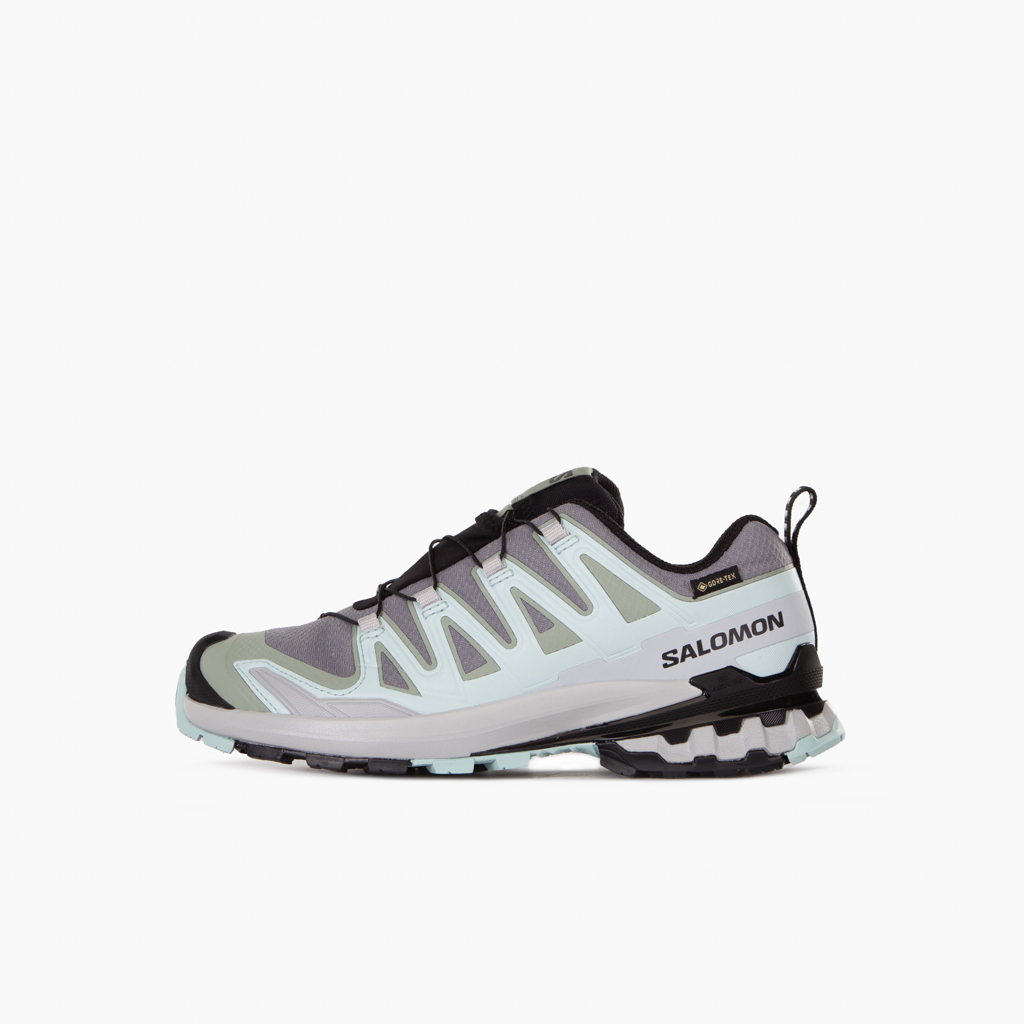 Кроссовки SALOMON XA Pro 3D V9 Gore-Tex в мультибрендовом магазине