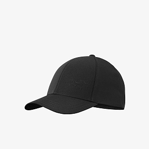 Кепка Bird cap Arc'teryx в интернет магазине Минт