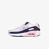 Кроссовки Nike Air Max 90 GS (Арт.CD6864-134)