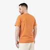 Футболка Arc'teryx Archaeopteryx T-Shirt SS (Арт.L07606300)