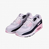 Кроссовки Nike Air Max 90 GS (Арт.CD6864-134)